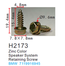 H2173  Metal Screw